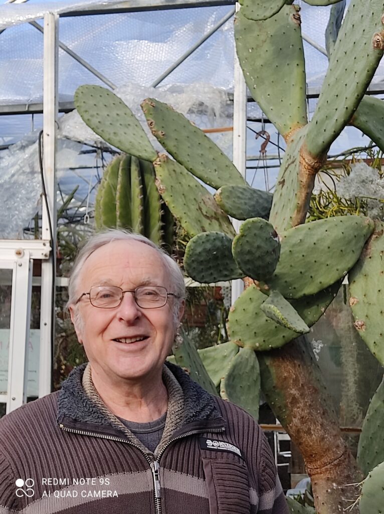 Ralph and Opuntia ficus indica